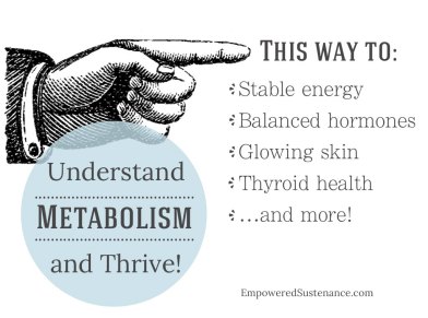 Understand-metabolism
